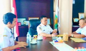 WhatsApp Image 2026-03-26 at 12.01.43